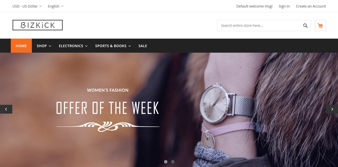Bizkick-Free-Magento 2 HiddenTechies