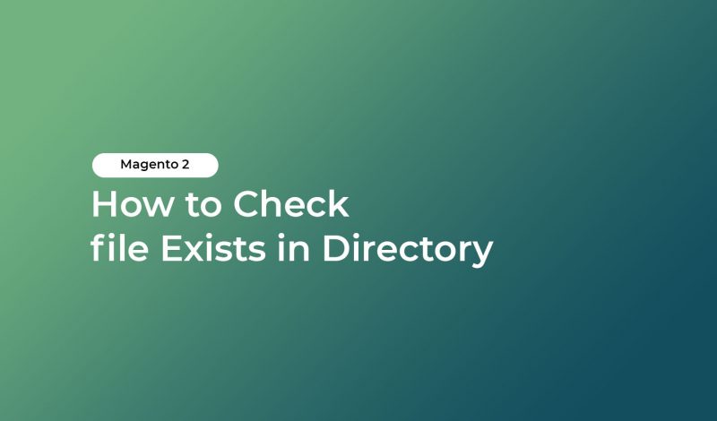 How to Check file Exists in Directory