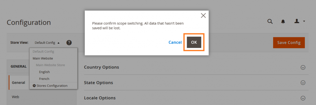 How to Change Store Scope in Magento 2