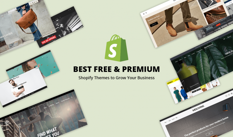 Best Free & Premium Shopify Themes to Grow Your Business