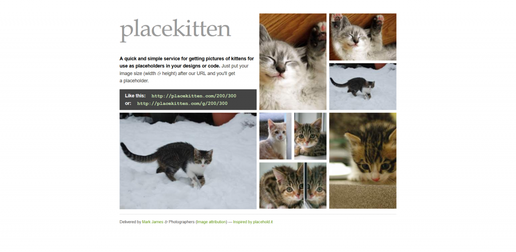PlaceKitten Placeholder Images Website