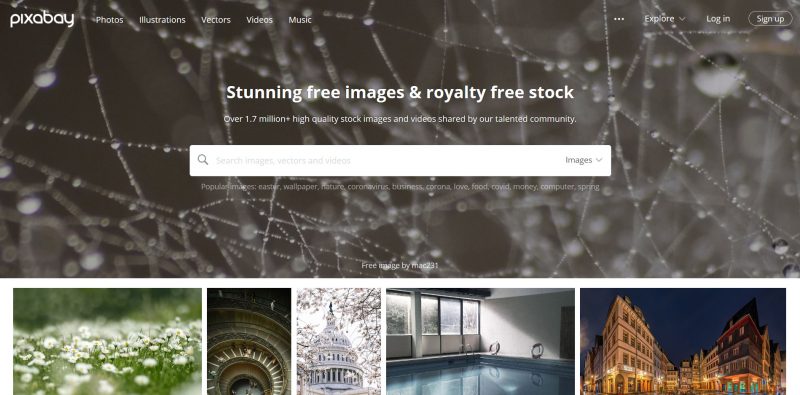 Pixabay Free Stock Photos Site