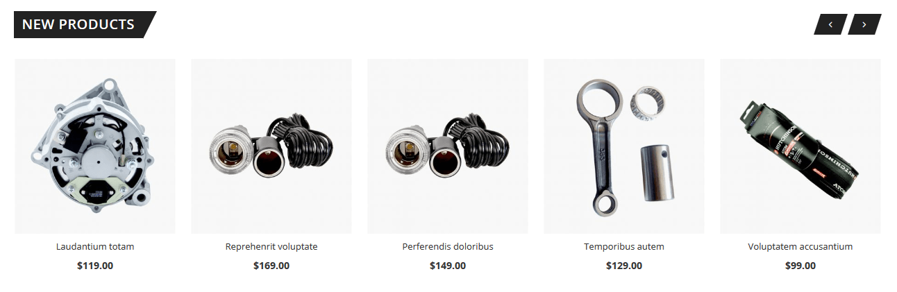 Bentriz - Homepage New Product Widget