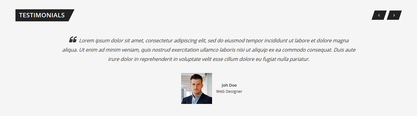 Bentriz - Homepage Testimonials