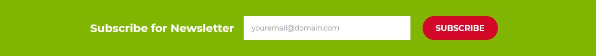 Foodline - Footer Top Mewsletter Frontend
