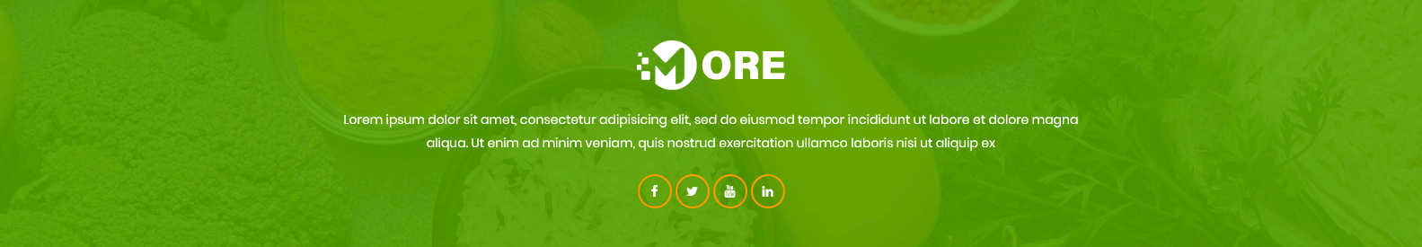 More - Footer Top Frontend