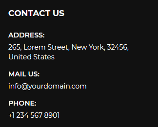 Next - Footer 4th Columns