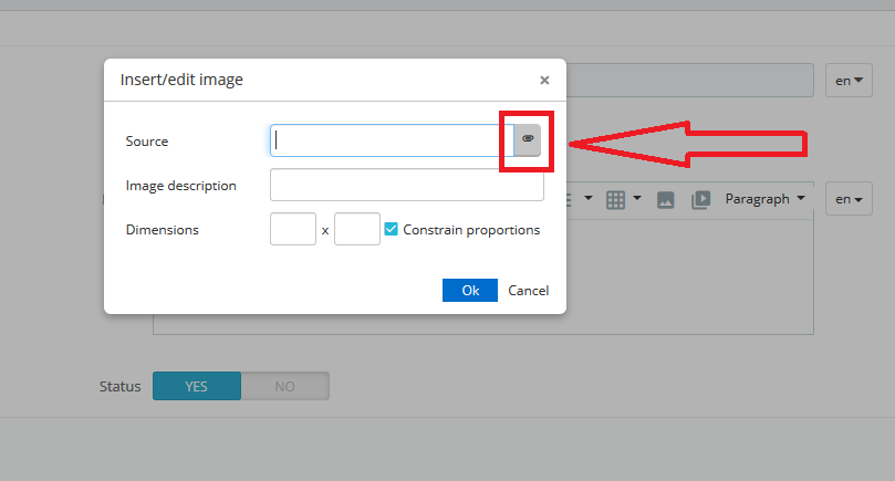 Click Source Icon to Insert Image