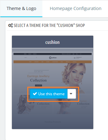 Apply Uploaded Theme