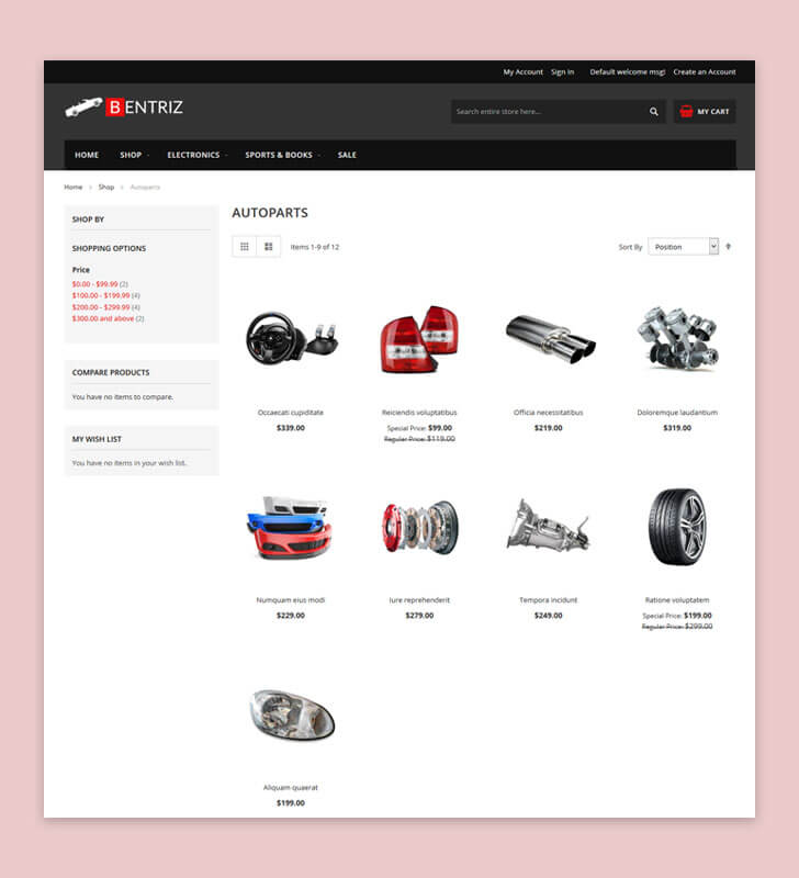 Category Page