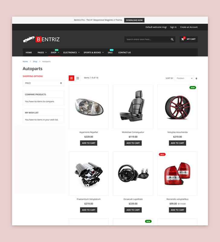 Category Page