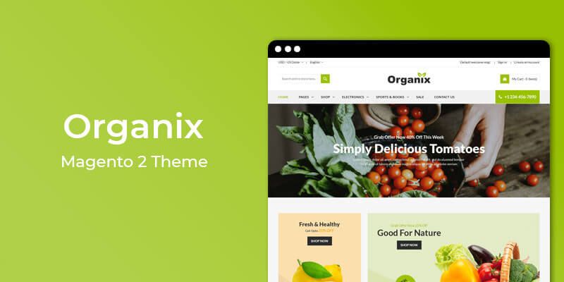 Organix – Vegetable Store Magento 2 Theme