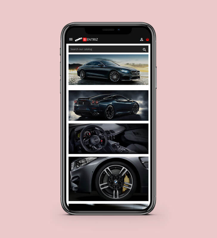 Mobile View