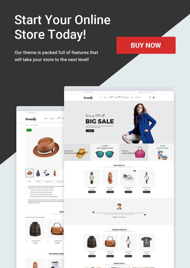 Buy Magento 2 Theme