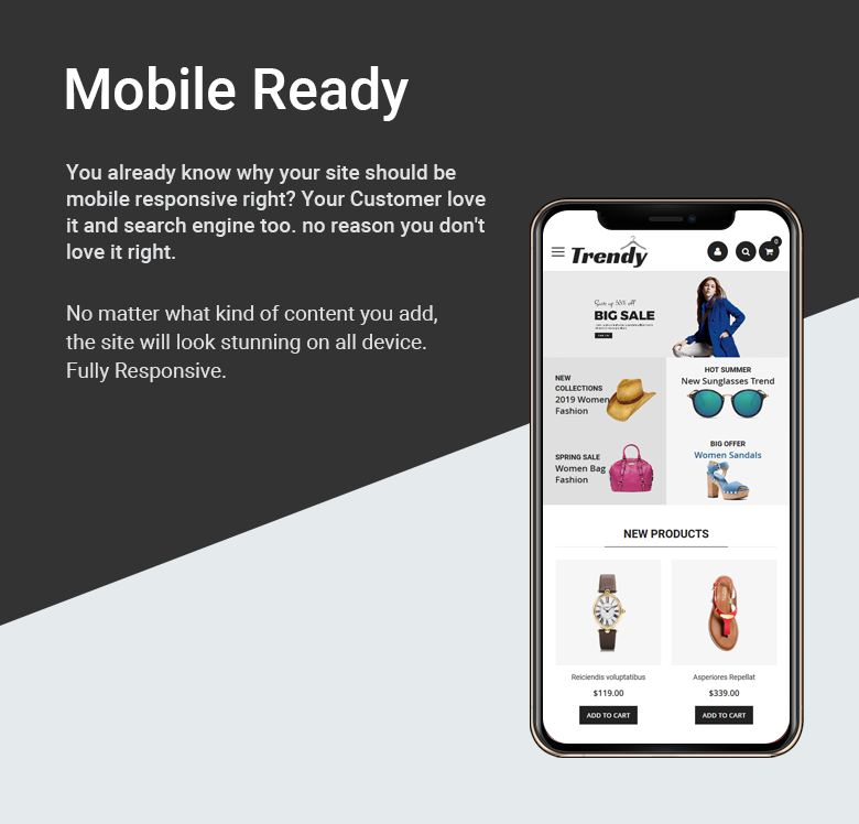 Mobile Ready Magento 2 Theme
